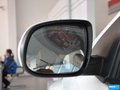 福瑞迪 图片
