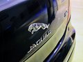 捷豹XJ 2014款 捷豹XJL 图片