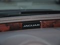 捷豹XJ XJL 3.0 SC 四驱全景商务版 2014款图片