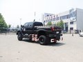 福特F650 2011款 F650 基本型图片