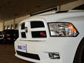 RAM Trucks霸王龙 2014款 5.7 R/T 改装两门版图片