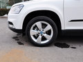 Yeti 2014款 1.4TSI DSG 極地版圖片
