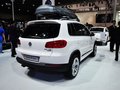 Tiguan 图片
