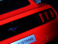 Mustang MUSTANG 基本型 2014款图片