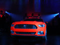 Mustang MUSTANG 基本型 2014款图片