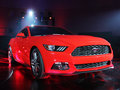 Mustang MUSTANG 基本型 2014款图片