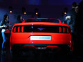 Mustang MUSTANG 基本型 2014款圖片