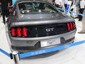 Mustang 2015款 野马图片