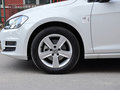 高尔夫 1.4TSI 自动 豪华型 2014款图片