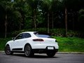 Macan Macan S 2014款图片