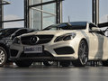 奔驰E级(进口) 2014款 E260 Coupe图片