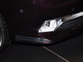 DS 5LS DS 5LS 基本型 2014款圖片