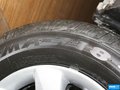 阳光 图片
