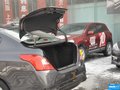 阳光 图片