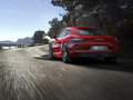 Cayman 2014款 Cayman圖片