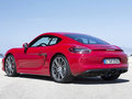 Cayman 2014款 Cayman圖片