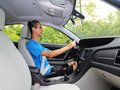紳寶D50 1.5L 手動 舒適版 2014款圖片