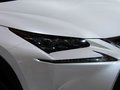 雷克薩斯NX 圖片