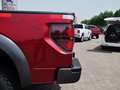 福特F150 SVT Raptor特别版 2014款图片
