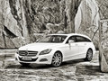 奔驰CLS CLS250 CDI Shooting Brake 2013款图片