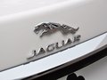 捷豹XF XF 2.0T 自动 风华版 2015款图片
