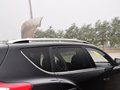 豪情（SUV） 2014款 2.4L 自動(dòng) 兩驅(qū)尊貴型圖片