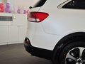 索蘭托 2015款 自動 汽油4WD 精英版 5座圖片
