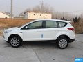 翼虎 图片