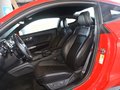 Mustang 2015款 野马图片