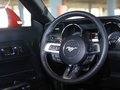 Mustang 2015款 野马图片