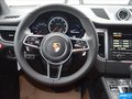 Macan 图片