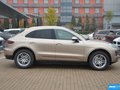 Macan 图片