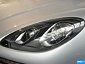 Macan 图片