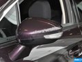 DS 5LS 圖片