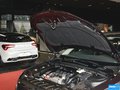 DS 5LS 圖片