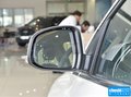 福克斯 图片