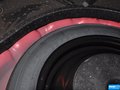 福克斯 图片