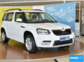 Yeti 图片