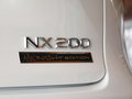 雷克萨斯NX 图片
