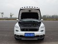 自由光 图片