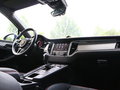 Macan 图片