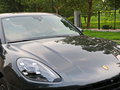 Macan 图片