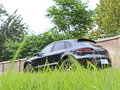 Macan 图片