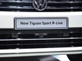 Tiguan 图片