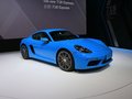 Cayman 图片