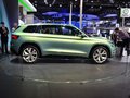 斯柯达VISION S概念车 图片