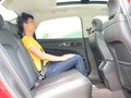 金牛座 图片