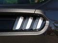 Mustang 圖片