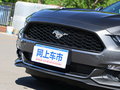 Mustang 圖片