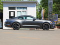 Mustang 圖片